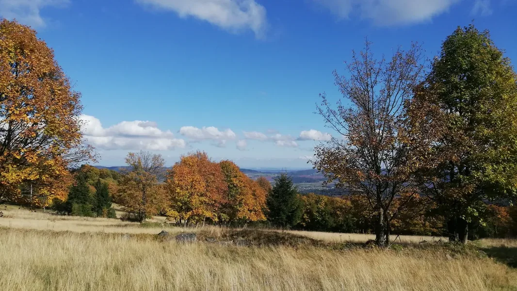 Neće biti zahvale onome što se približava zemlji