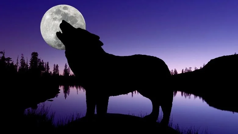 Nova godina počinje astronomski spektakl, večeras nemojte zaboraviti da pogledate 'Vučji mesec'! Koji znaci horoskopa će biti pogođeni ovim fenomenom - Shqiptarja.com