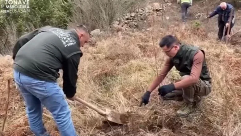 Posadili su nove mladiće lešnika i divlje trešnje u Nacionalnom parku Šebenik (VIDEO)