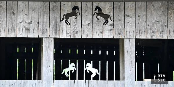 Zbog sumnji zloupotrebe treneru oduzeta licenca