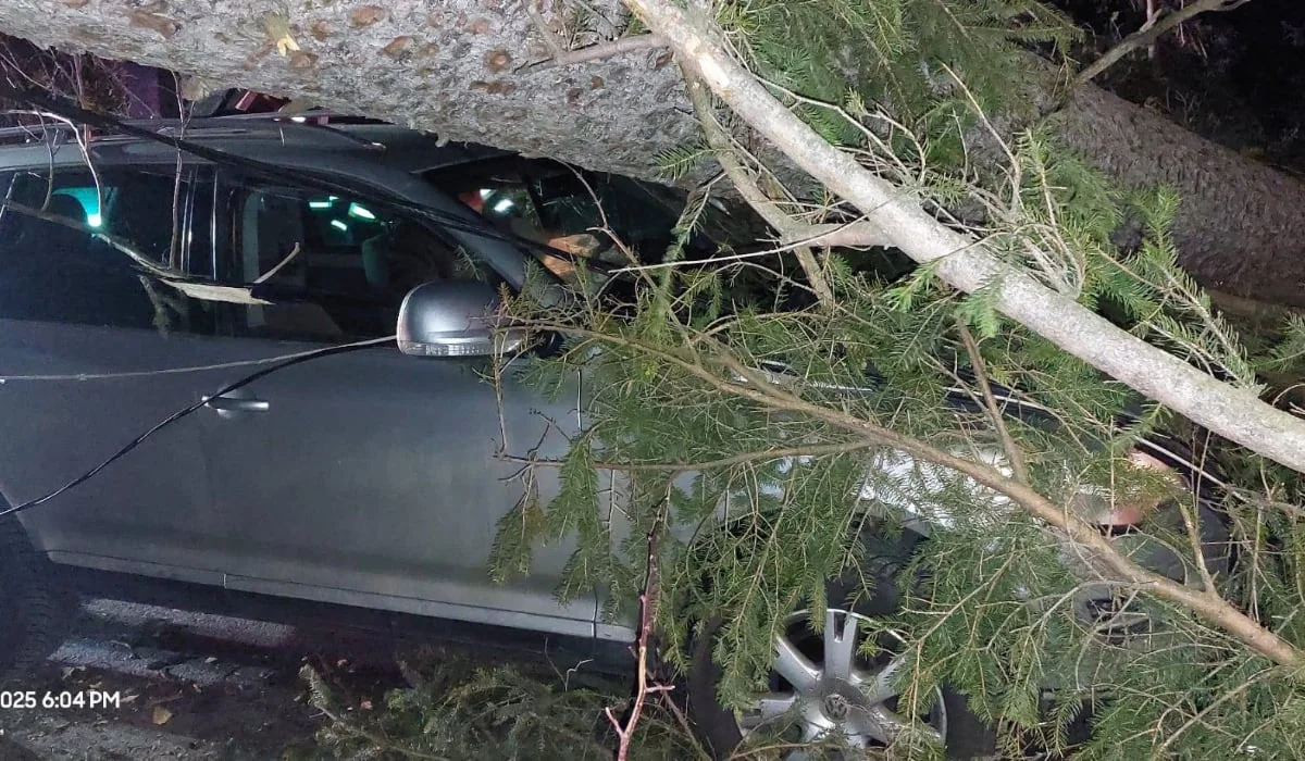 Jaka oluja na Valei Prahovei: više drveća oboreno vetrom, a jedno palo na automobil sa tri osobe
