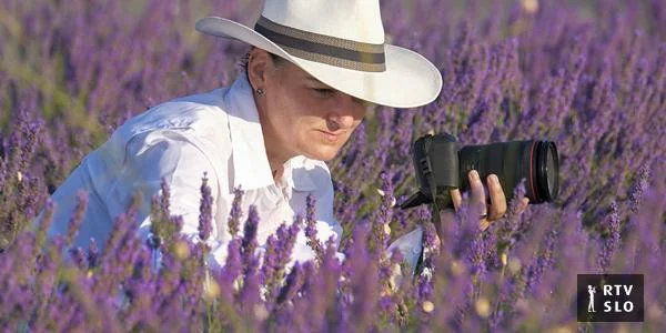 Andreja Ravnak: Došla, videla, fotografisala, otišla