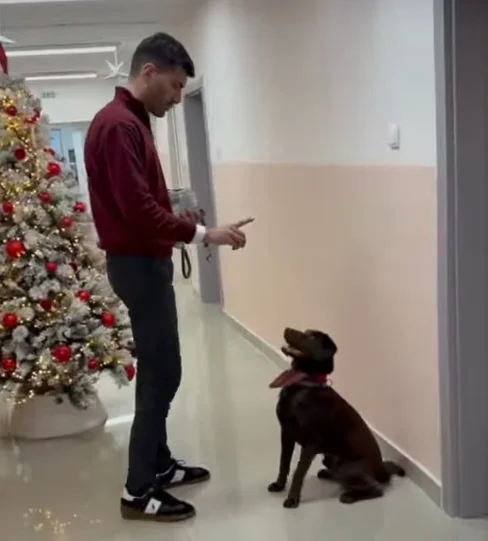 VIDEO: Labrador uključen u terapeutski proces Klinike za psihijatriju - Nova Makedonija