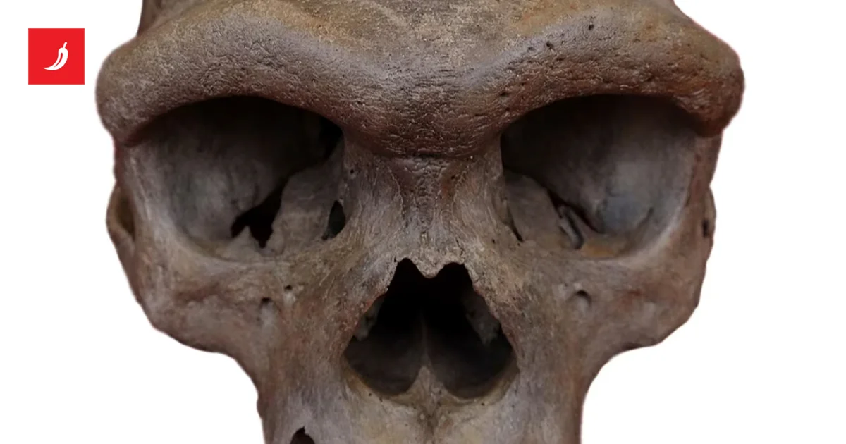 Najveći misterij ljudske evolucije počeo da se rasplitati