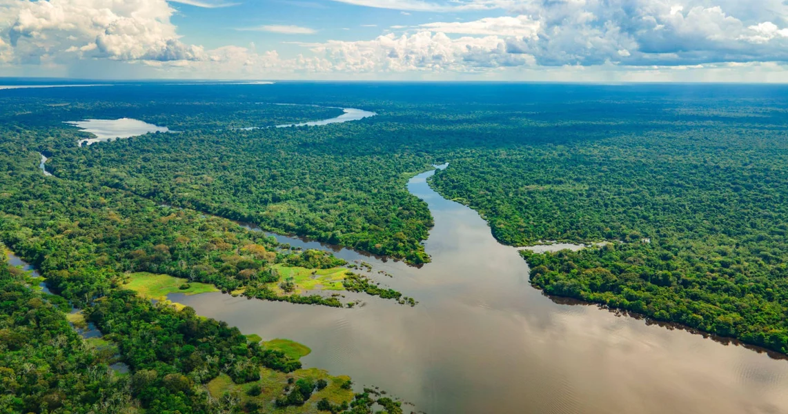 Kokain, zlato i meso: kako je kolumbijski Amazon postao profitabilan posao za kriminalne grupe