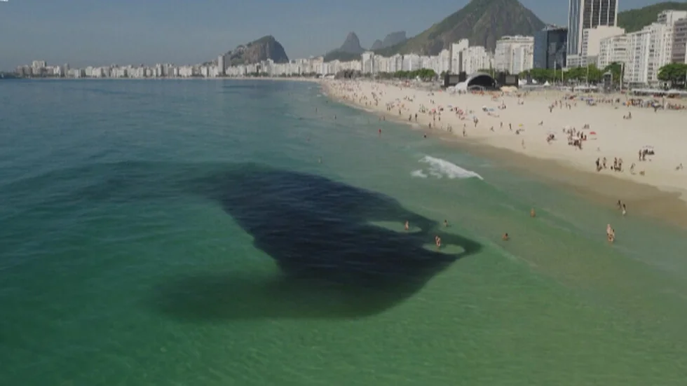 Prirodni fenomen na Kopakabani: Milioni anšoa riba iznenadila kupače (VIDEO)