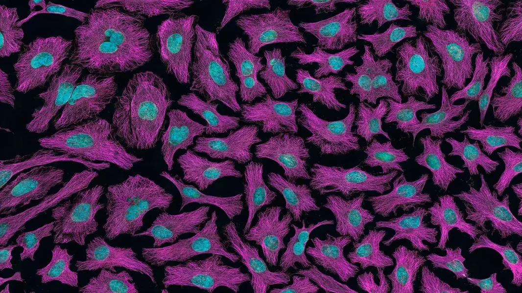 Ovo radimo svakodnevno – i brutalno povećavaju šanse za rak