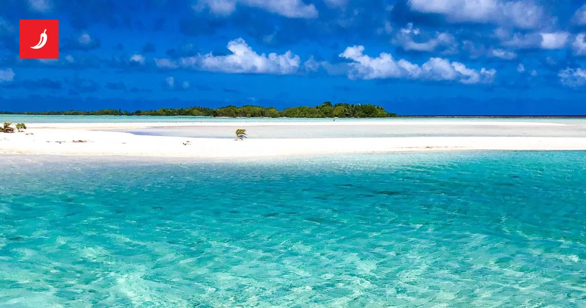 Austrijanku na Bahamima napao morski pas tokom izleta