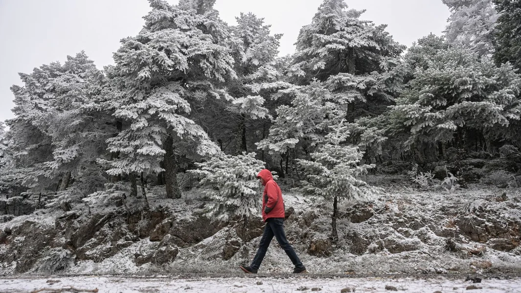 Vreme: Zima 'kao nekada' uz ledeni mraz — Sneži i u Atici — Documento