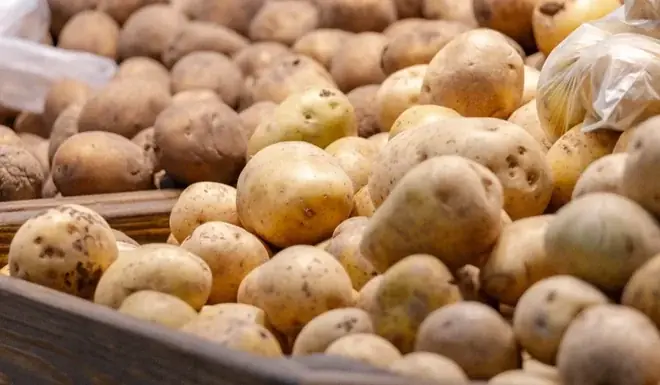 4.000.000 kilograma krompira su u opasnosti da se pokvare u Nemačkoj. Kako vlasti pokušavaju da ih spasu.