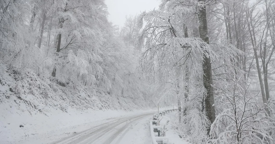 DHMZ upalio alarme za 6 regija: Sneg, obilne kiše i jak vetar. Evo gde će biti najgore