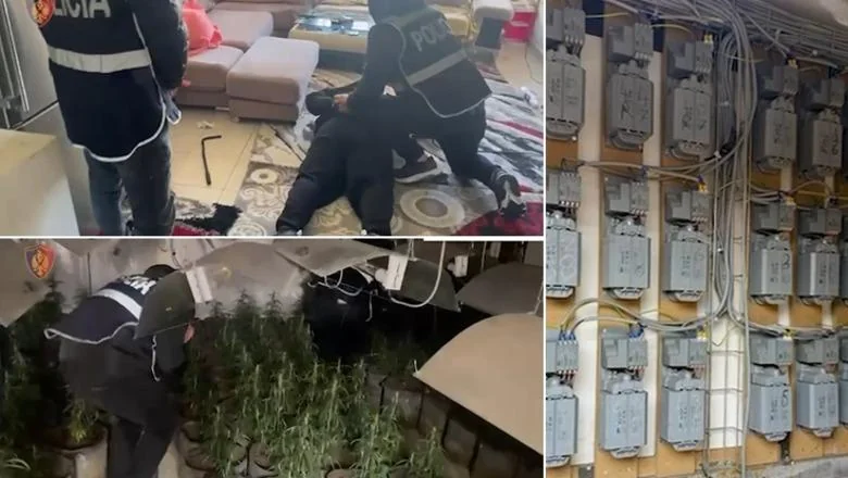 Pretvorio stan u Sarandë u kuću za uzgajanje kanabisa, uhapšen u trenutku zatečenja 30-godišnjak! U potrazi saradnik, a pogođeno je i 4 zaposlenih OSHEE-a (IMENA+VIDEO) - Shqiptarja.com
