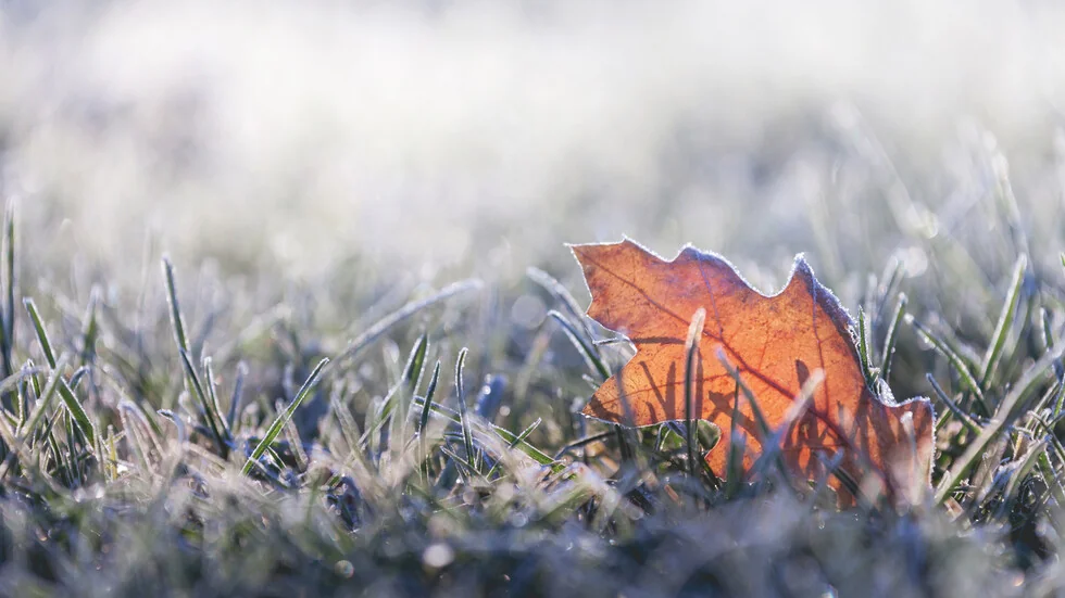 Godina počinje sa vetrom i osećajem za proleće.