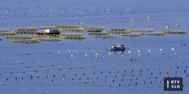 Italija uspostavila izključnu ekonomsku zonu, slovenski interesi ne bi trebalo da budu narušeni