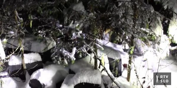 Nepoznati lopovi iz Črnomaljske godbe ukrali polovinu instrumenata. Pronađeni su u blizini, sakriveni pod snegom.