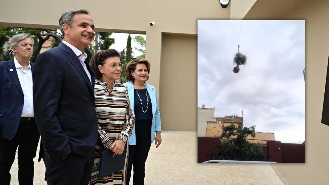Leteća drveća za zakašnela otvaranja