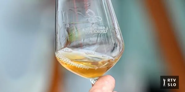 U Italiji sada zvanično dozvoljena proizvodnja bezalkoholnih vina