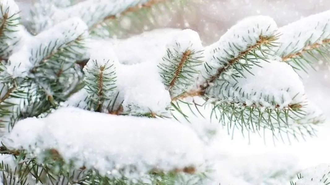 Još 10 centimetara snega i ledena kiša stižu, opasna ledena površina na putevima - ORIGO