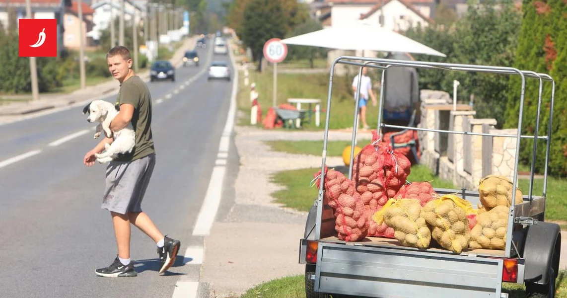 HSS prekosutra u Zagrebu besplatno deli lički krompir