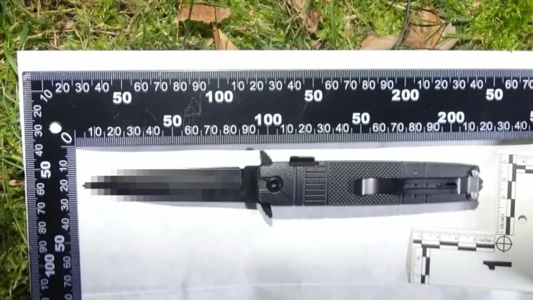 Poslednja fotografija dečka iz Miskolca koji je nožem ubijen