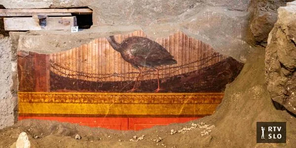 U antičkoj vili kod Napulja otkrivene šarene freske sa pavima i maskama