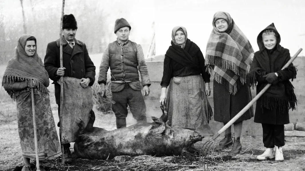 Hurka, kobasica, mesar – Koliko poznajete tradicije klanja svinja?