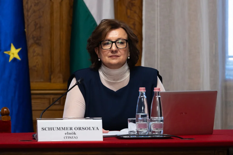 Prema Šummer Orsolji, 'tehnička pomoć je data' kada je glasala umesto svog partijskog kolege u parlamentu