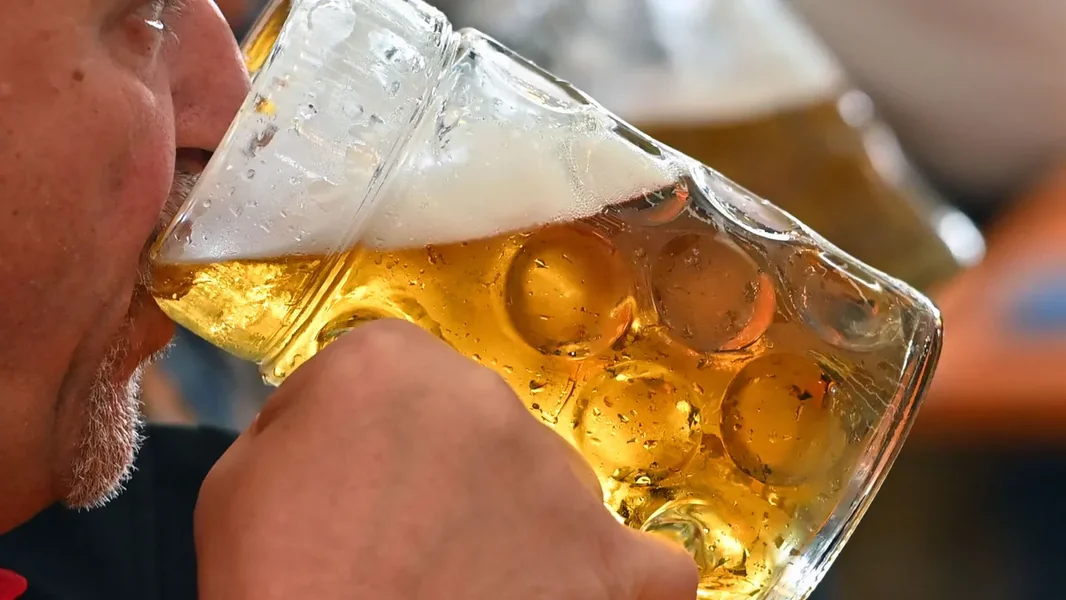 Otkriveno kako alkohol uništava mozak