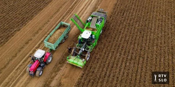 Poljoprivredne organizacije tražiće jamstva od ministarke Čalušić o merama za zaštitu poljoprivrednika