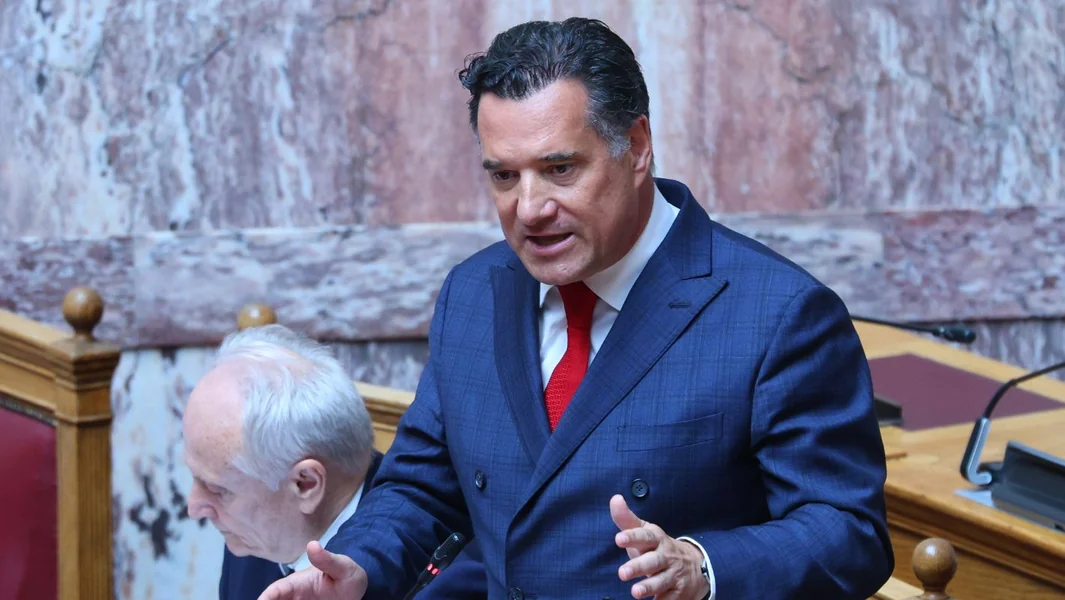 Georgiadis: Niko ne pravi zavere unutar ND protiv Mitsotakisa - 0% šansa za koalicionu vladu - Documento
