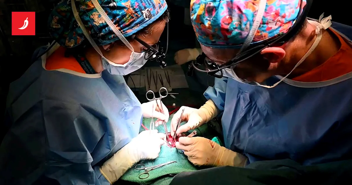 Čak 35% lekara i 46% svih stomatologa u Švedskoj rođeno je u inostranstvu