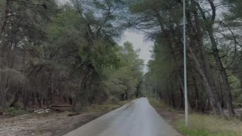 KLSH stiže u Vloru, započinje inspekciju u Šumi Sodës, u fokusu navodi o seči drveća i intervencijama na teritoriju (VIDEO) - Shqiptarja.com