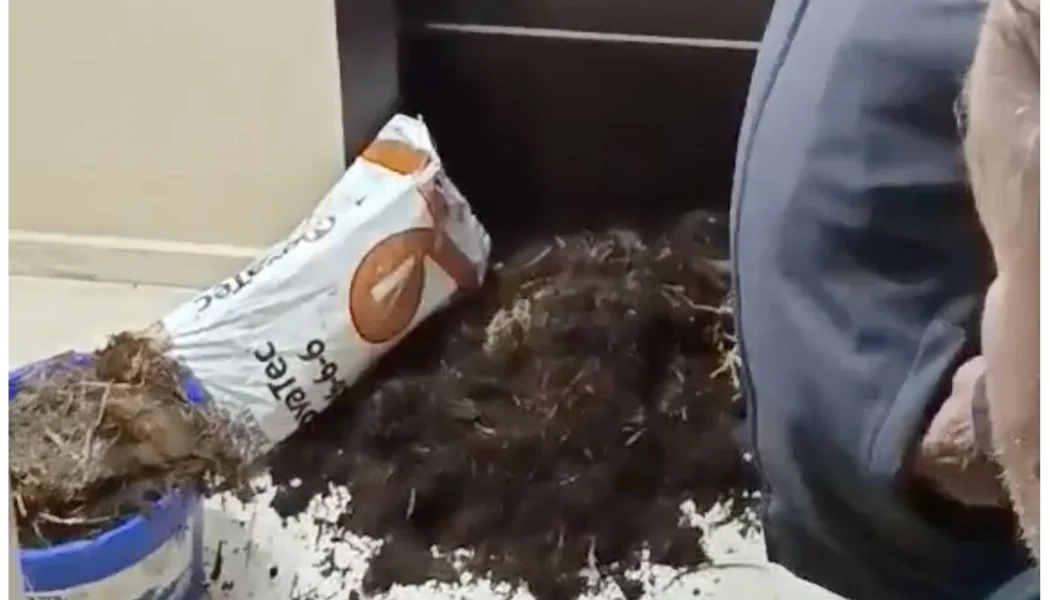 Florina: poljoprivrednici bacili slamu i stajnjak ispred kancelarije Stavru Papasotiriju - Documento