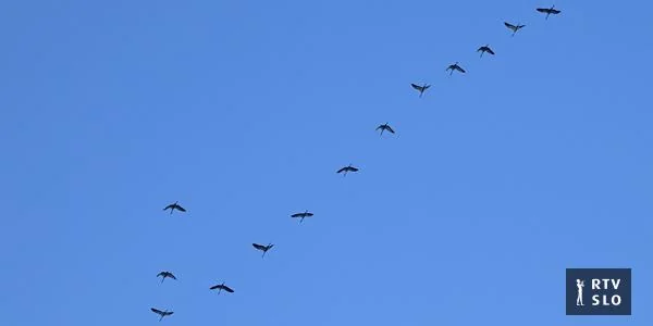 Nebo već pune jesenske jate žerjava