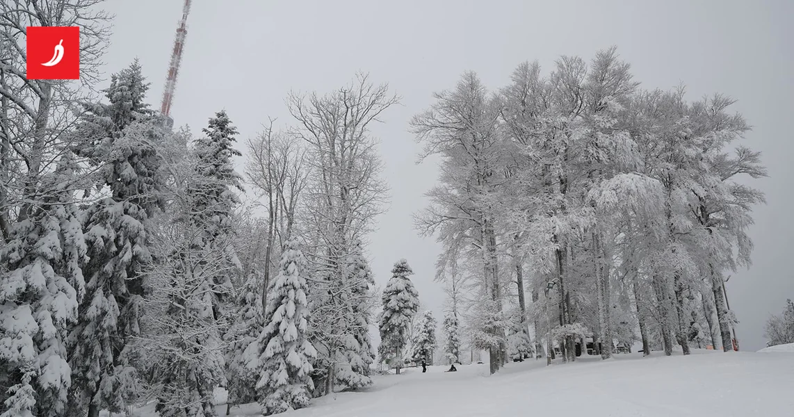 Da li smo konačno imali pravu zimu? Meteorolog: Sve su ređe, ova je bila izuzetak