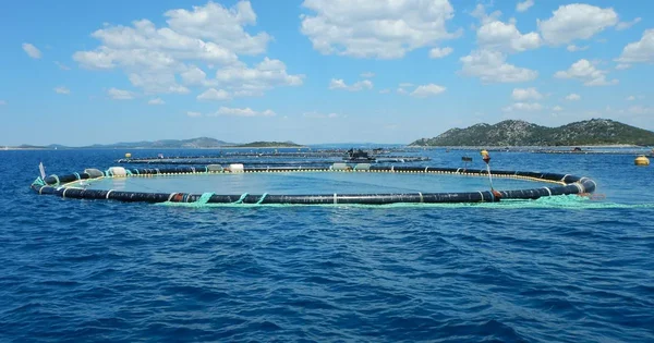 Uzgajamo sa razlogom – jedemo sa poverenjem