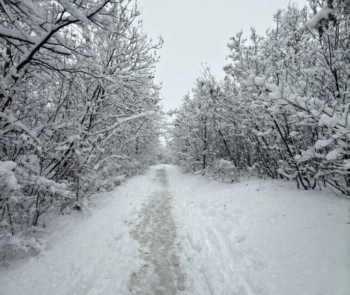 Najviše snega i najhladnije na Popova Šapka - Nova Makedonija