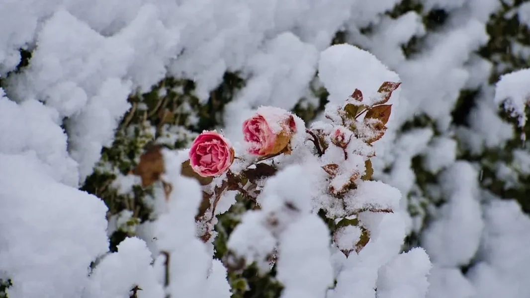 Nije šala, dolazi duboki mraz: najhladniji dani ove godine dolaze