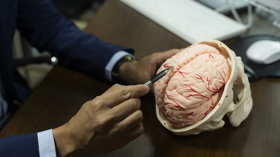 Kako mozak može da 'isključi' bol – nauka iza zadivljujućeg mehanizma