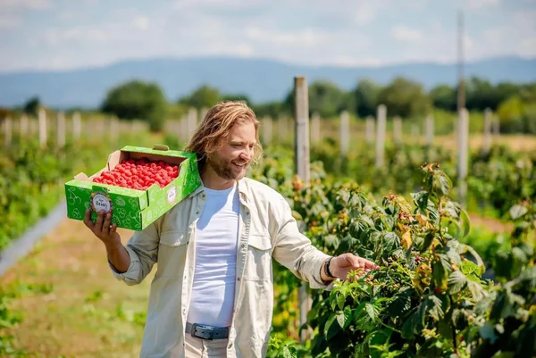 Operacija „mita sa helikopterom”. Biznismen koji je davao mitu zaposlenima u hipermarketima da prihvate pokvarenu robu