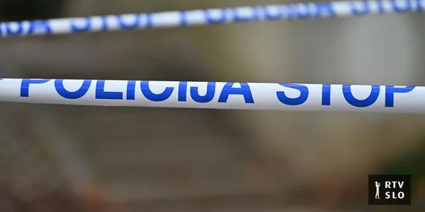 U saobraćajnoj nesreći između Dolenjama i Ajdovštine stradao pešak