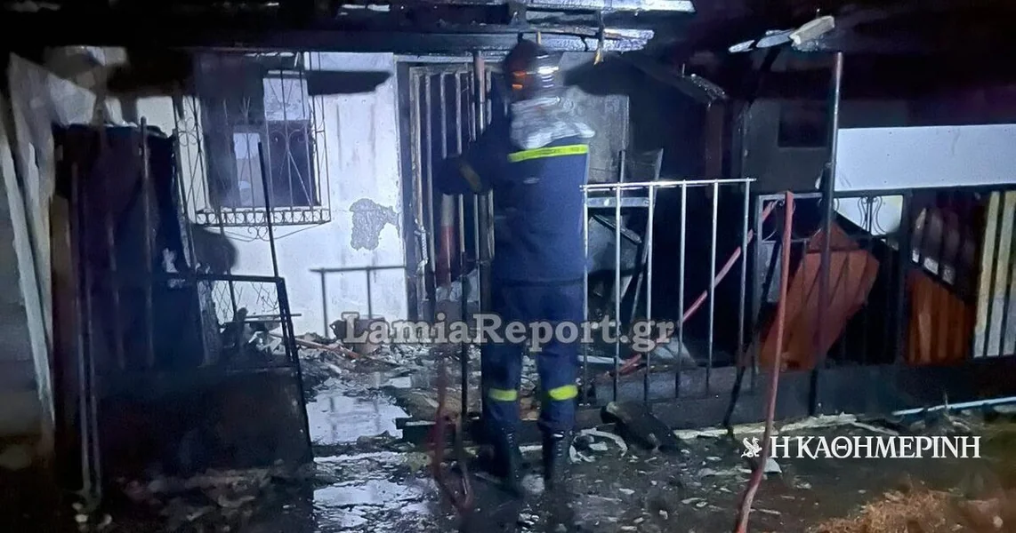 Tragedija u Ftiotidi: Preminula 32-godišnjakinja nakon požara u njenom domu