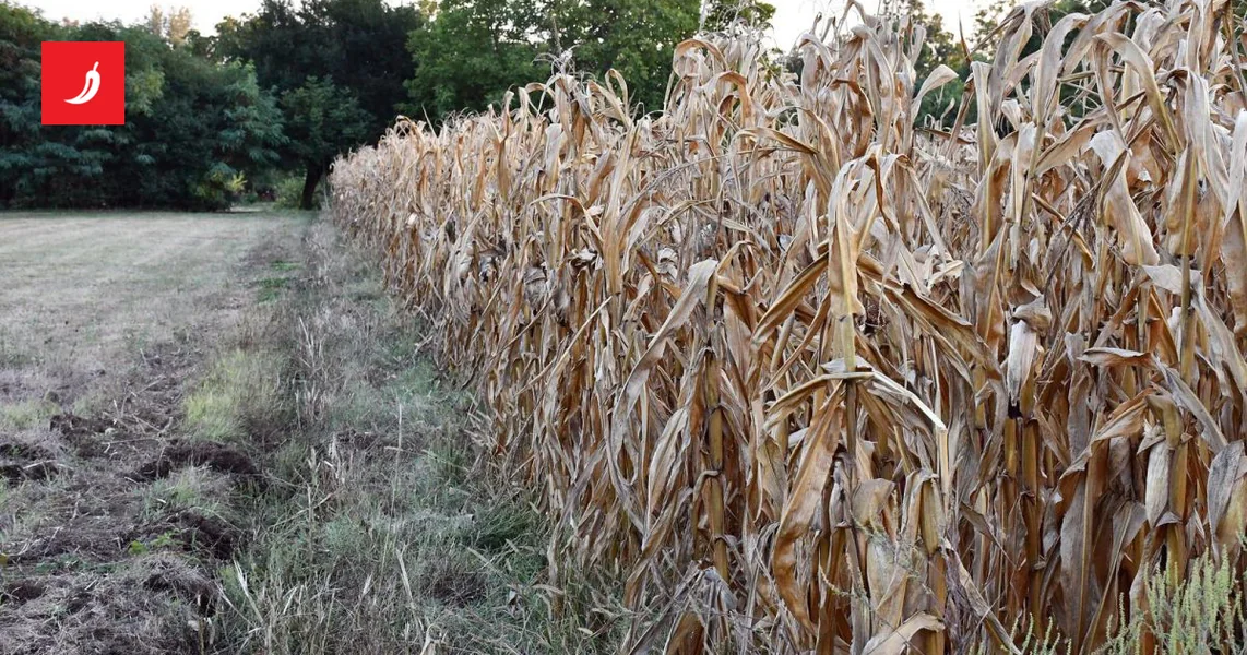 Dekan Agronomskog fakulteta: Ne možemo od krize do krize trošiti novac na sanacije
