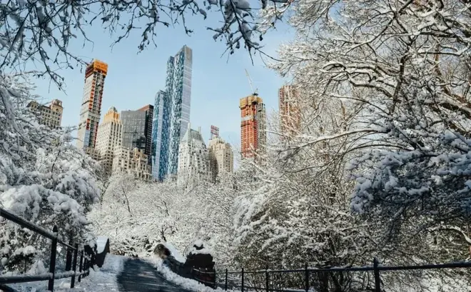 U NY proglašeno vanredno stanje: stigla snažna oluja, najavljen najveći sneg u četiri godine