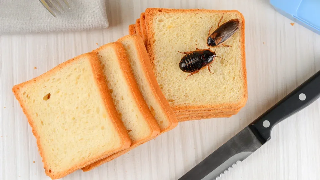 Crvi i insekti preplavili namirnice namenjene deci – nadležne službe su preduzele mere