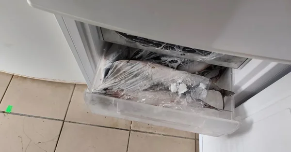 ANPC je vršila kontrole u turističkim zonama i izrekla kazne ukupno 1,6 miliona lei. Koje nepravilnosti su otkrivene?