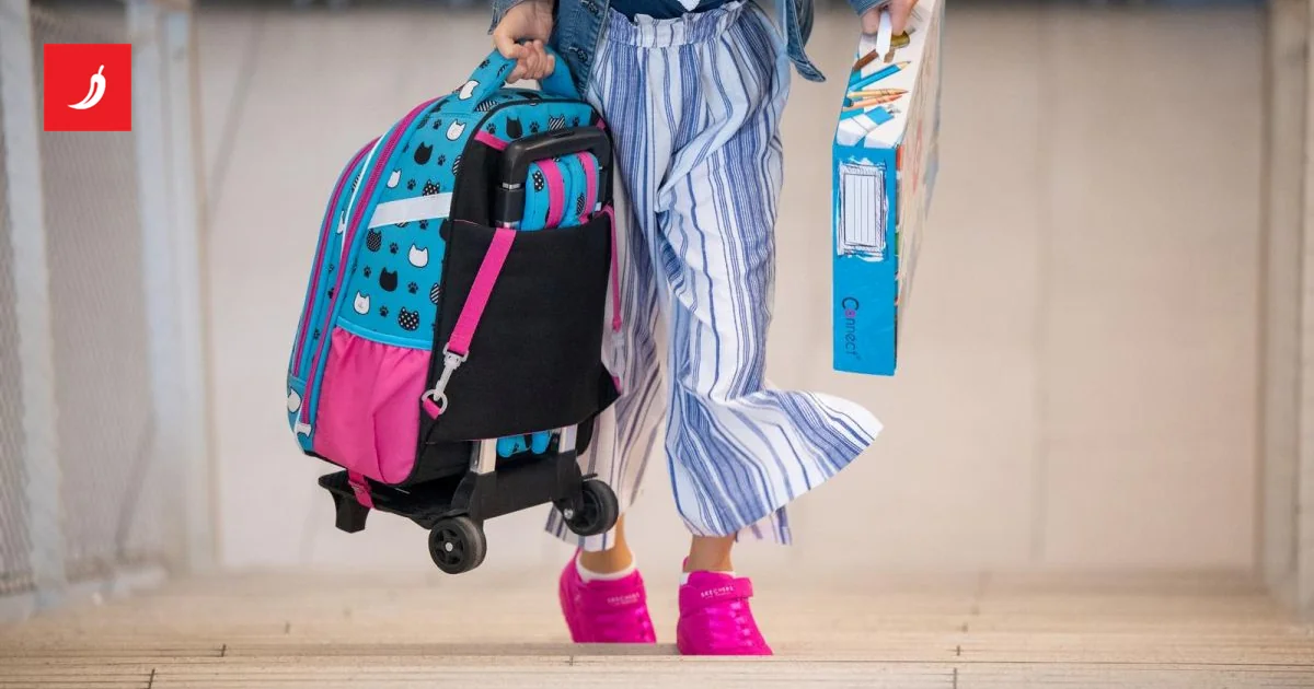 U obrazovanju 2025. obeležili štrajkovi. Bolji rezultati državne mature nego prošle godine