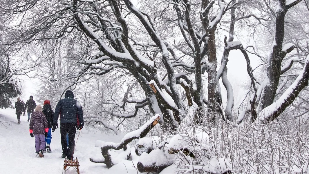 Frankfurt: Otkazano desetine letova zbog snega i leda - Documento