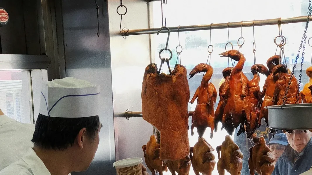 Ovo nije šala: lutajući golubovi posluženi u kineskom restoranu