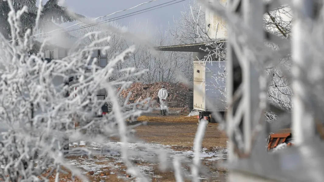 Iznenađujuće mutirana životinja pojavila se u Szabolcsku